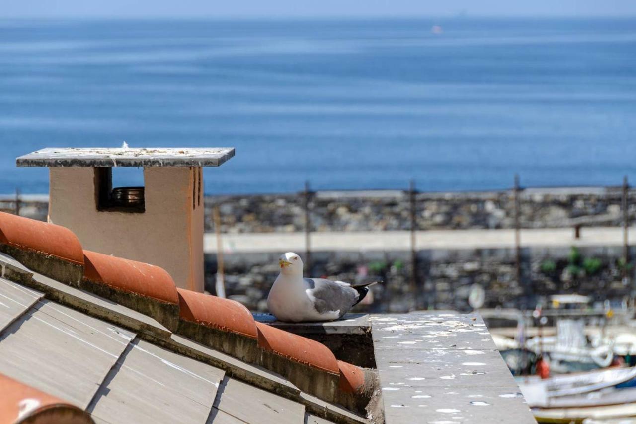 شقة Joivy Charm 1 Bed Apt Overlooking Port Of كامولّي المظهر الخارجي الصورة