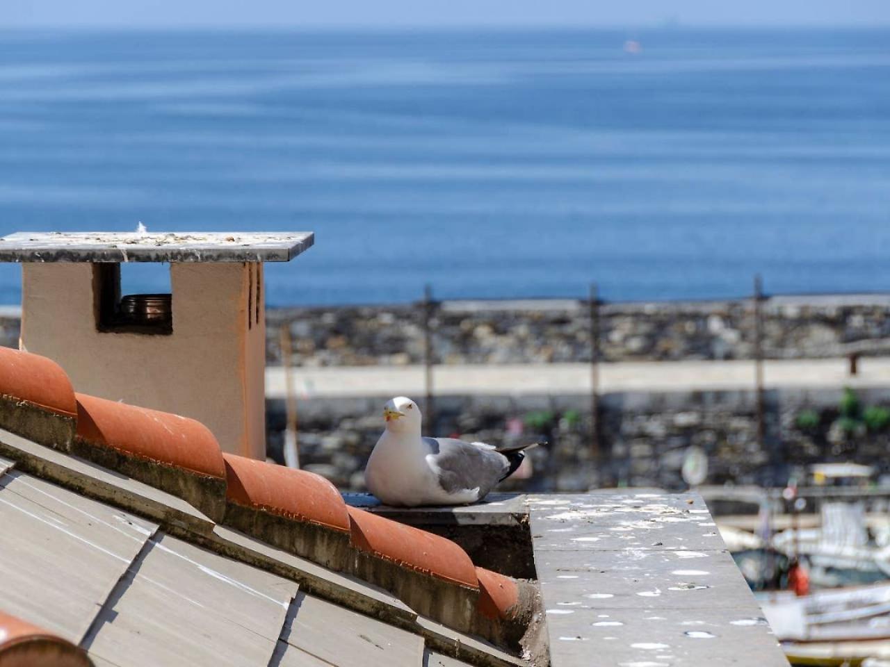 شقة Joivy Charm 1 Bed Apt Overlooking Port Of كامولّي المظهر الخارجي الصورة
